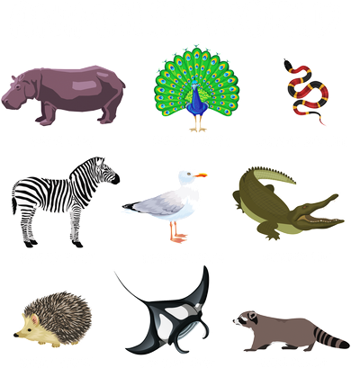 Animals Of The World Baby Bodysuit