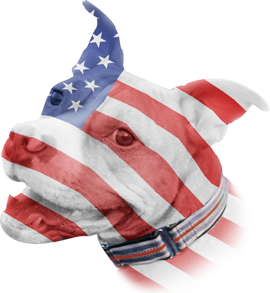 American Pitbull Toddler T-Shirt