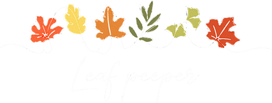 Autumn Peeping Fall Foliage Leaf Peeper Thanksgiving Women's Hoodie