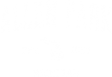 Allen Park Michigan Mi Vintage Sports Coffee Mug