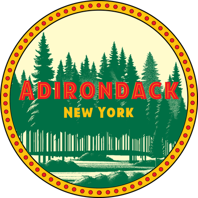 Adirondack Park Vintage Kids T-Shirt