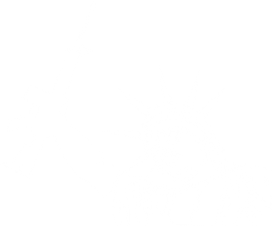 Statue of Liberty AR-15 Gun Rights Beanie