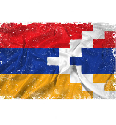 Armenia Flag Artsakh Strong Protest Toddler Hoodie
