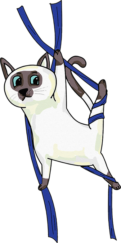 Aerial Silks Dancer Aerialist Air Yoga Acrobatics Cat Funny T-Shirt