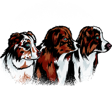 Australian Shepherd Dogs Kids T-Shirt