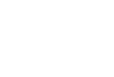 Aussie Kangaroo Kids T-Shirt