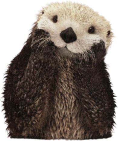 Adorable Sea Otter Gift Women's Tank Top