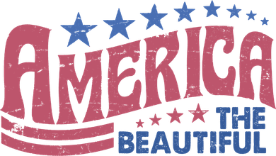 America The Beautiful Vintage Women's Hoodie