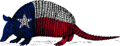 Armadillo Texas Flag Bucket Hat