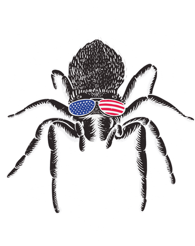 American Tarantula Spider Button