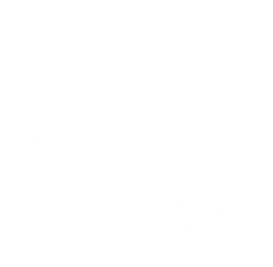 Animals Of the World Funny Wildlife Women's Sweatshirt