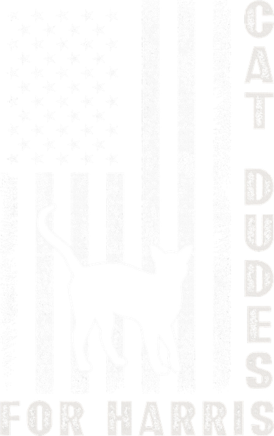 America Vote Usa Flag Cat Dudes For Kamala Harris Vote 2024 Ornament
