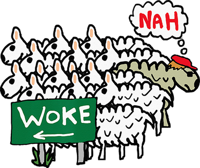Anti Woke Sheep Kids Hoodie