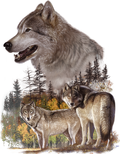 Three Wolf Collage Women's T-Shirt