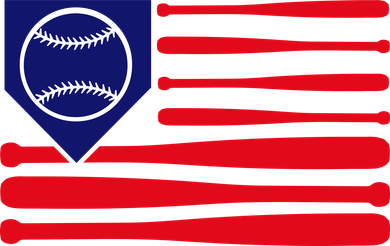 American League Baseball Flag Women's Dry Zone Grid Polo