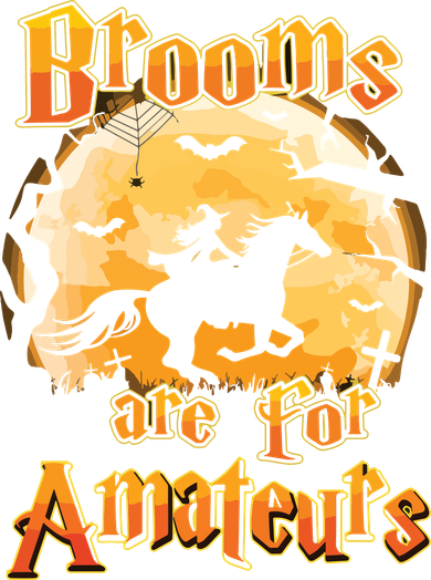 Brooms Are For Amateurs Horse Funny Halloween Costume Long Sleeve Women's T-Shirt