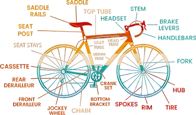 Bicycle Anatomy Funny Cycling Cute Biking Biker Women's V-Neck T-Shirt