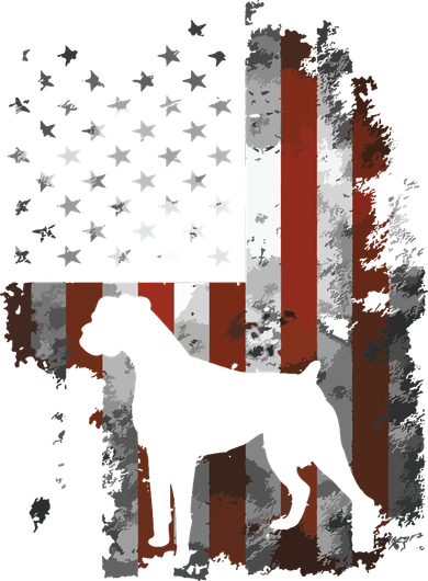 Boxer American Flag USA 4th Of July Dog Gifts Hooded Wearable Blanket
