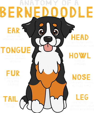 Bernedoodle Anatomy Funny Dog Mom Dad Cute Gift Women's T-Shirt