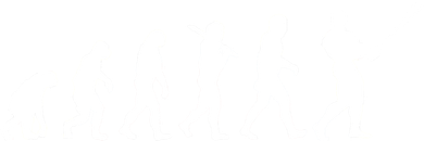 Baseball Evolution Tank Top