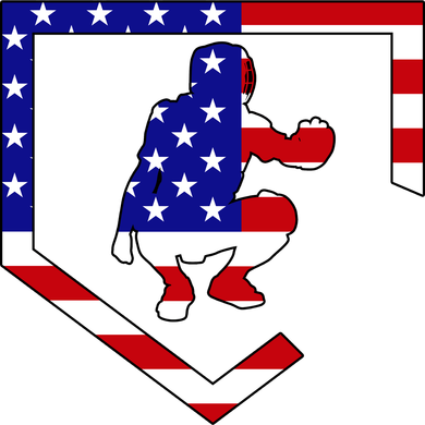 American Baseball Catcher Flag Doggie Tank