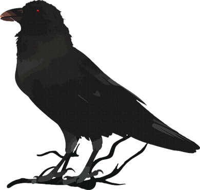Beautiful Black Crow Raven Bird Silhouette Women's Hoodie