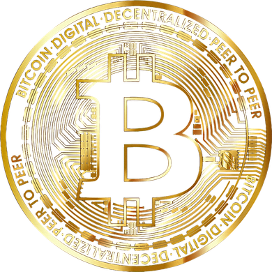 Bitcoin Btc Coin Crypto Trader Bitcoin Future Freedom Coaster