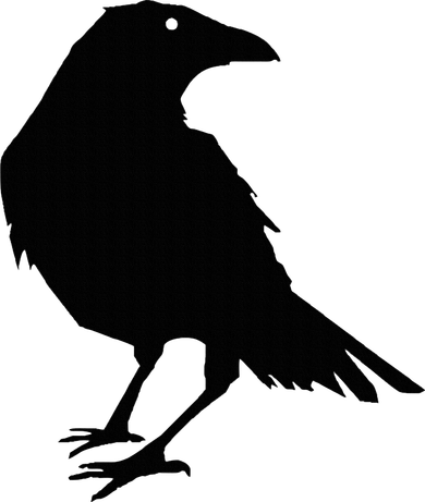 Beautiful Black Crow Raven Bird Silhouette Sweater Women's Hoodie