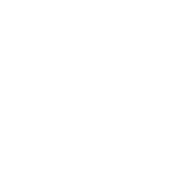 Shark Big Brother Logo Toddler Hoodie
