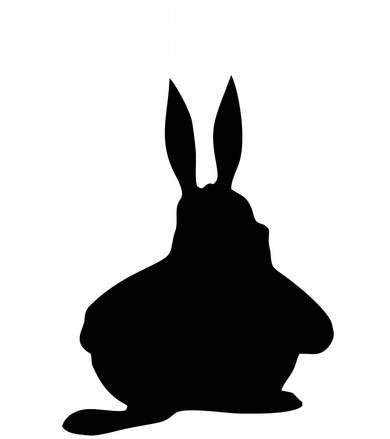 Big Chungus Funny Meme Coaster