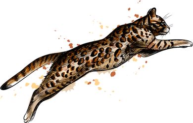 Bengal Cat Jumping From A Splash Toddler T-Shirt