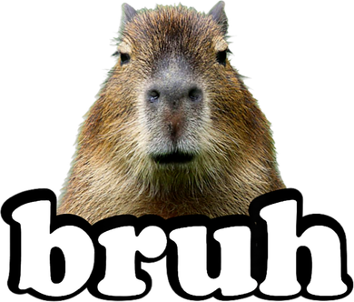 Bruh Capybara Meme Funny Bruh Saying Toddler Long Sleeve