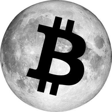 Bitcoin Cryptocurrency Fly Me To The Moon Logo Women's Sweatshirt
