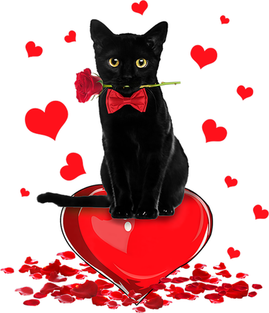 Black Cat Red Rose Valentines Day Kids T-Shirt