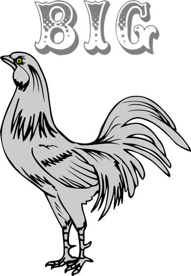 Big Cock Rooster Long Sleeve Shirt