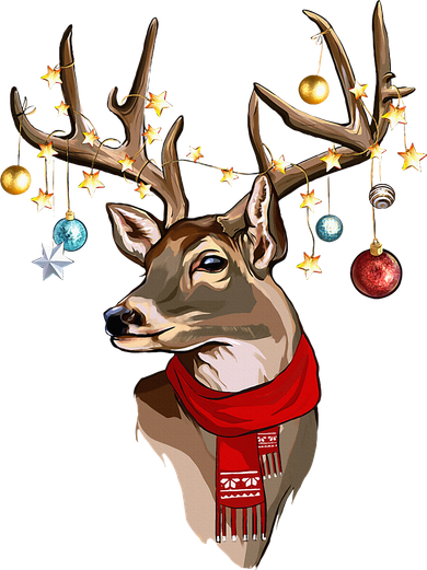 Buck Deer Antlers Christmas Lights Scarf Xmas Party Toddler Hoodie