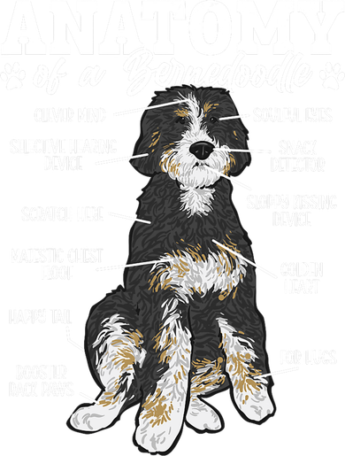 Bernedoodle Dog Anatomy Of A Bernedoodle Hooded Wearable Blanket
