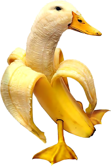 Banana Duck Baby Bodysuit
