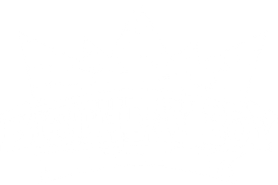 Birthday Boy Crown Classic Logo Hat