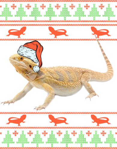 Bearded Dragon Christmas Women's T-Shirt