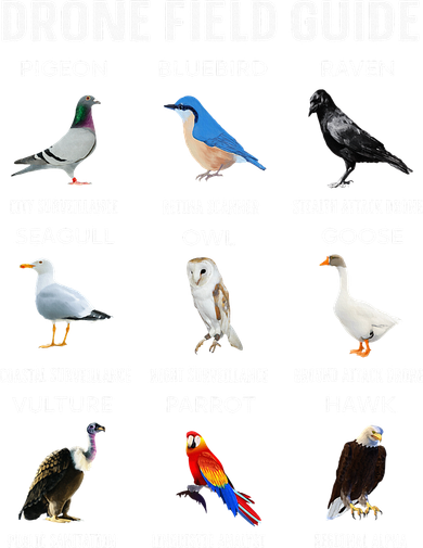 Birds Drone Field Guide They Aren’T Real Doddie Hoodie
