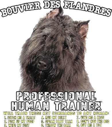 Bouvier Des Flandres Professional Human Trainer Cute Dog Polo