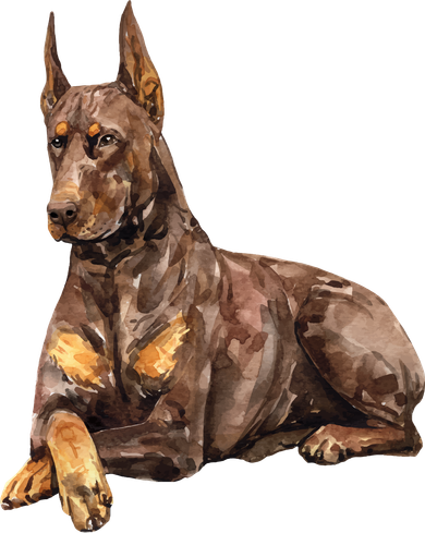 Brown Doberman Pinscher Coffee Mug