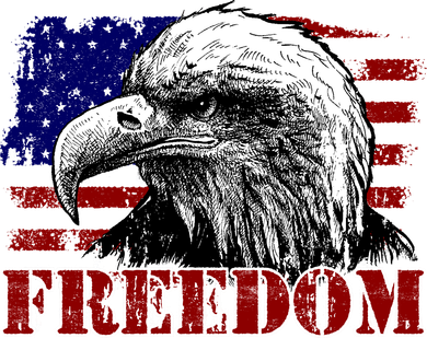 Bald Eagle Distressed USA Flag Freedom 4th of July T-Shirt