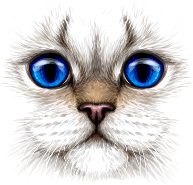Blue Eyed Realistic Cat Face Women's T-Shirt