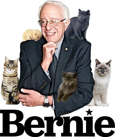Funny Bernie Sanders Cats Women's Sweatshirt