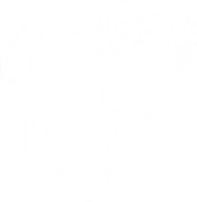 Big Fry Ornament