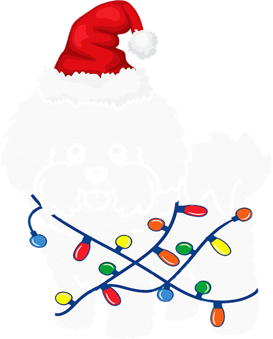 Bichon Frise Christmas Light Funny Dog Lover Gift Women's Sweatshirt