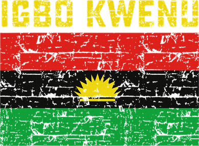 Biafran Flag Design Kids Hoodie