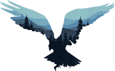 Beautiful Flying Eagle Night Sky Forest Bird Silhouette Gift Women's Tank Top